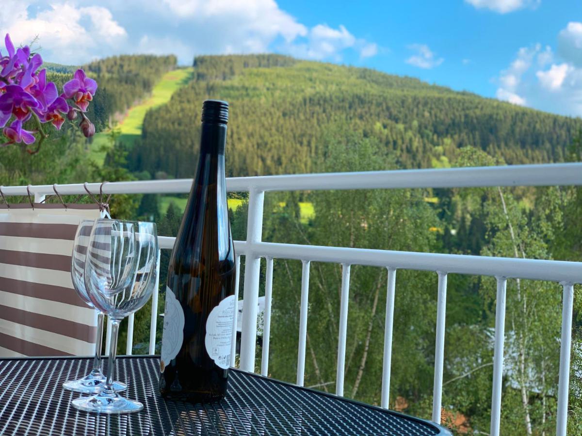 Panorama 19 Apartment Spindleruv Mlyn Exterior photo
